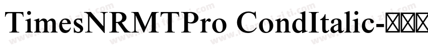 TimesNRMTPro CondItalic字体转换
